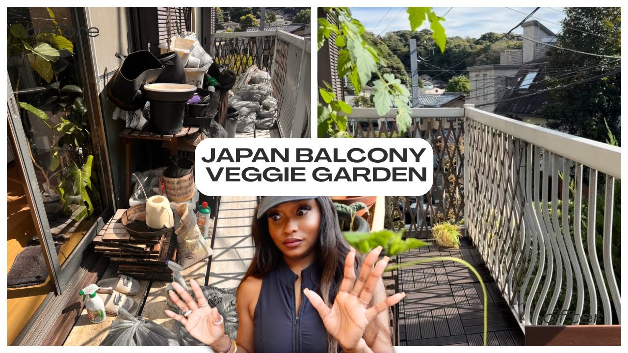 Vegetables in Japan are so expensive! So i'll grow my own. Balcony veggie garden renovation project!