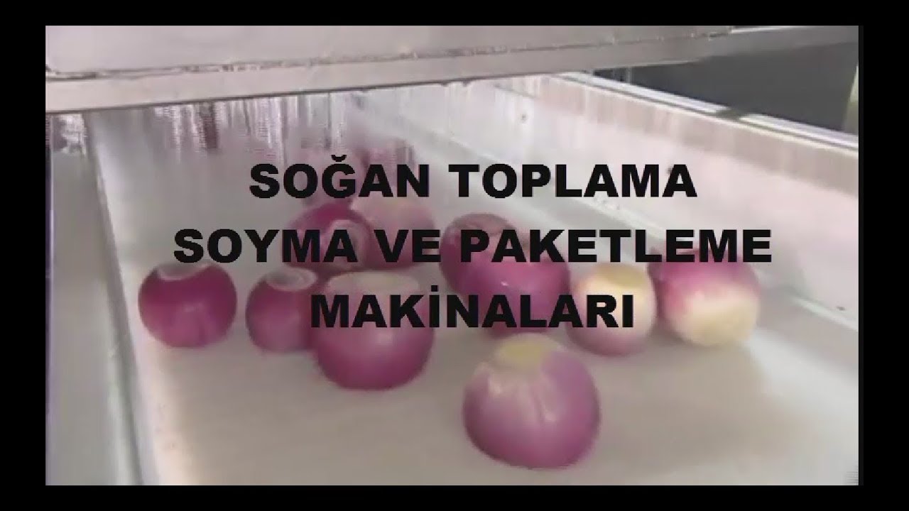 Soğan doğrama makinası, soğan paketleme, soğan, onion,