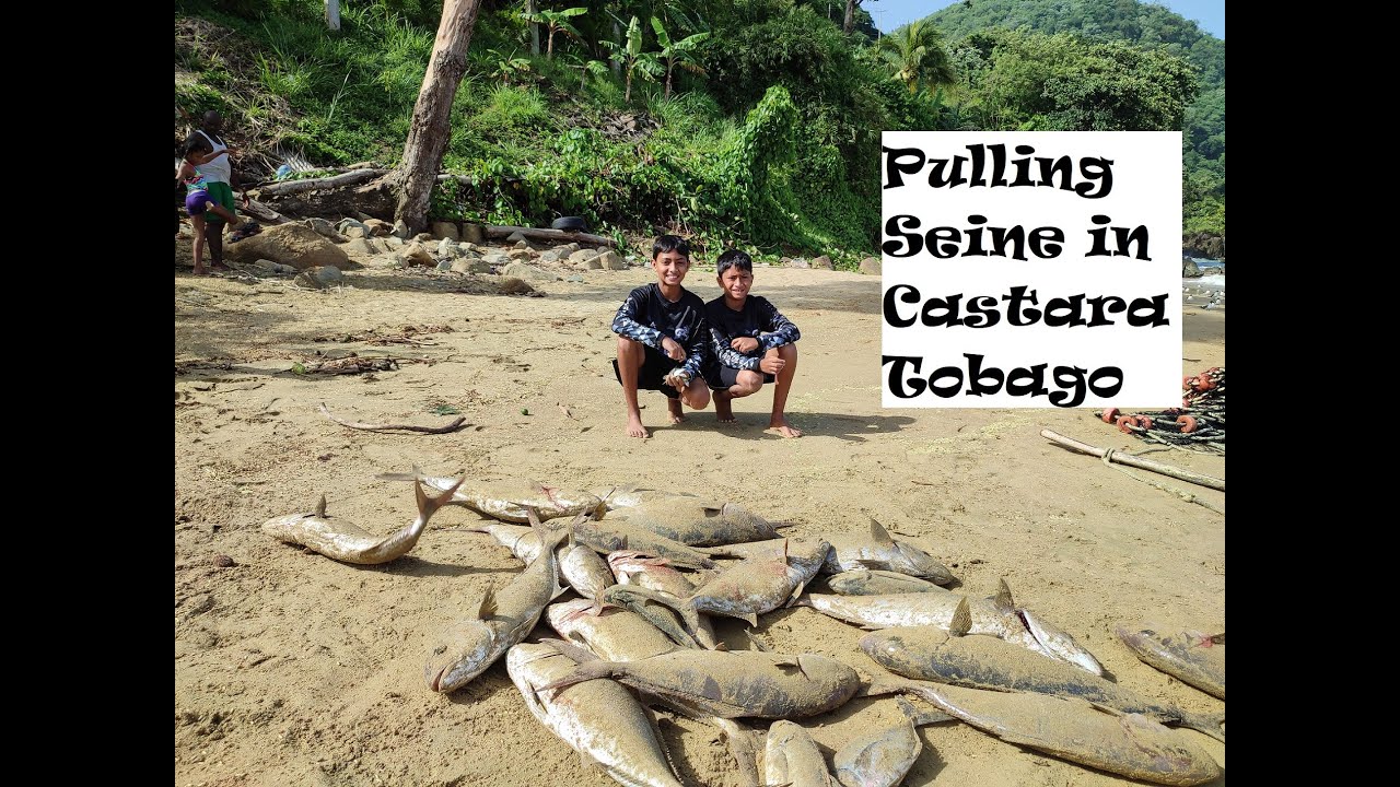 Pulling Seine in Castara, Tobago