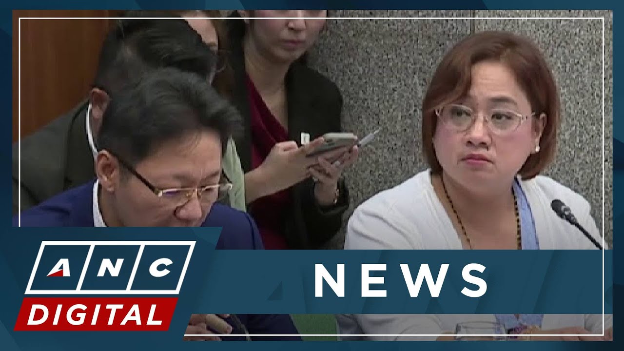 'Romulo, Atayde, Teodoro, Robes': Discaya names congressmen allegedly asking for kickbacks | ANC