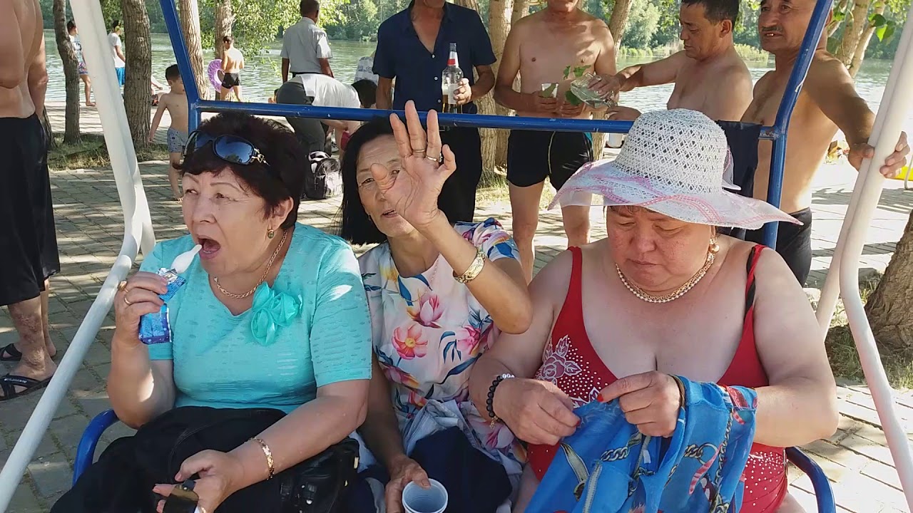 1978-ЖЫЛҒЫ ТҮЛЕКТЕР