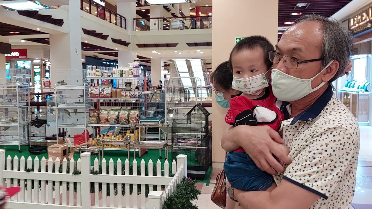 Mau Beli Pohon Natal di Mall ArthaGading, Jakarta