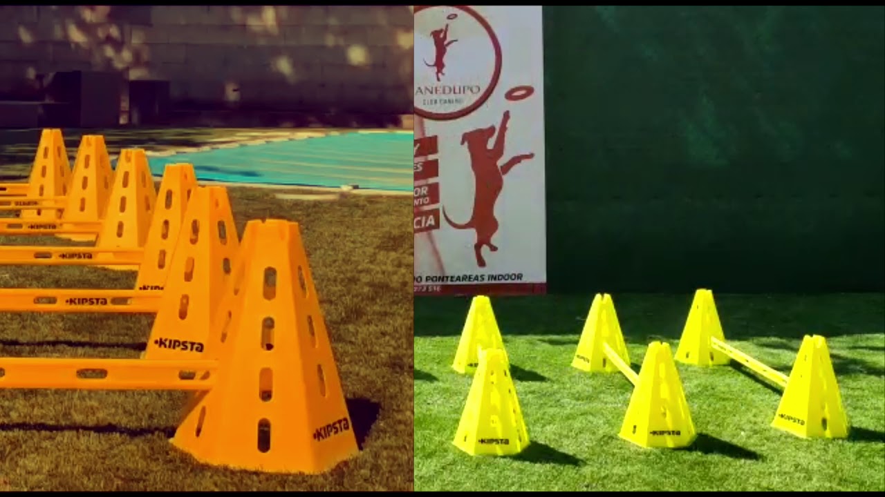 Tutorial cavaletti. Adiestamiento canino.