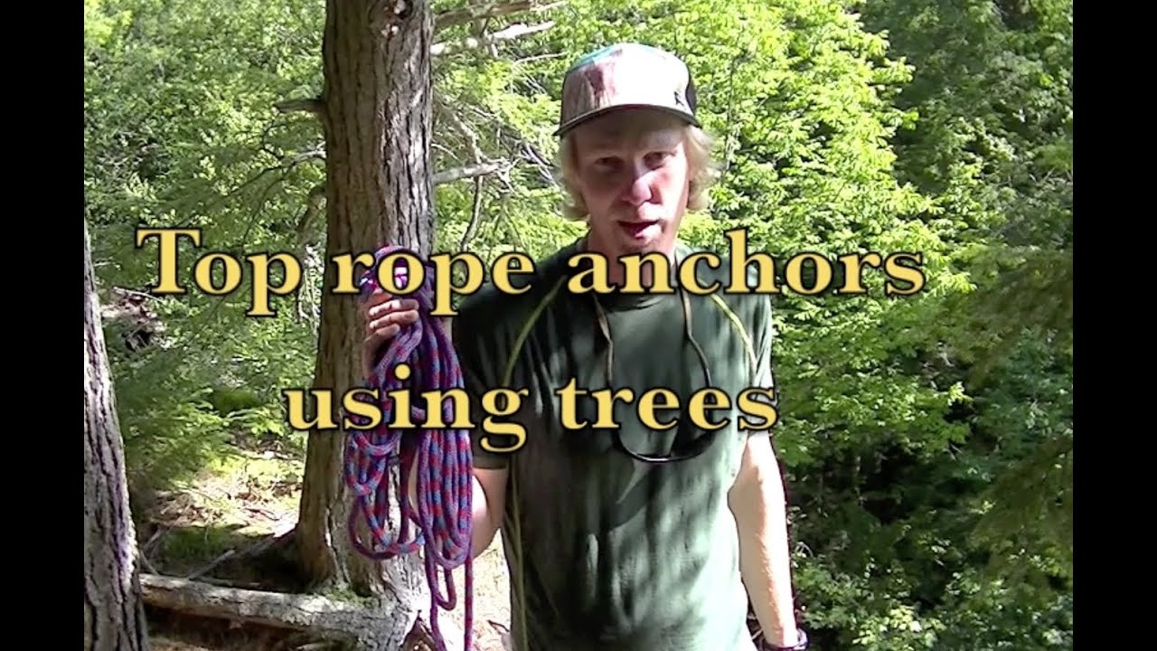 Rock Climbing Tree Anchors, Top Rope