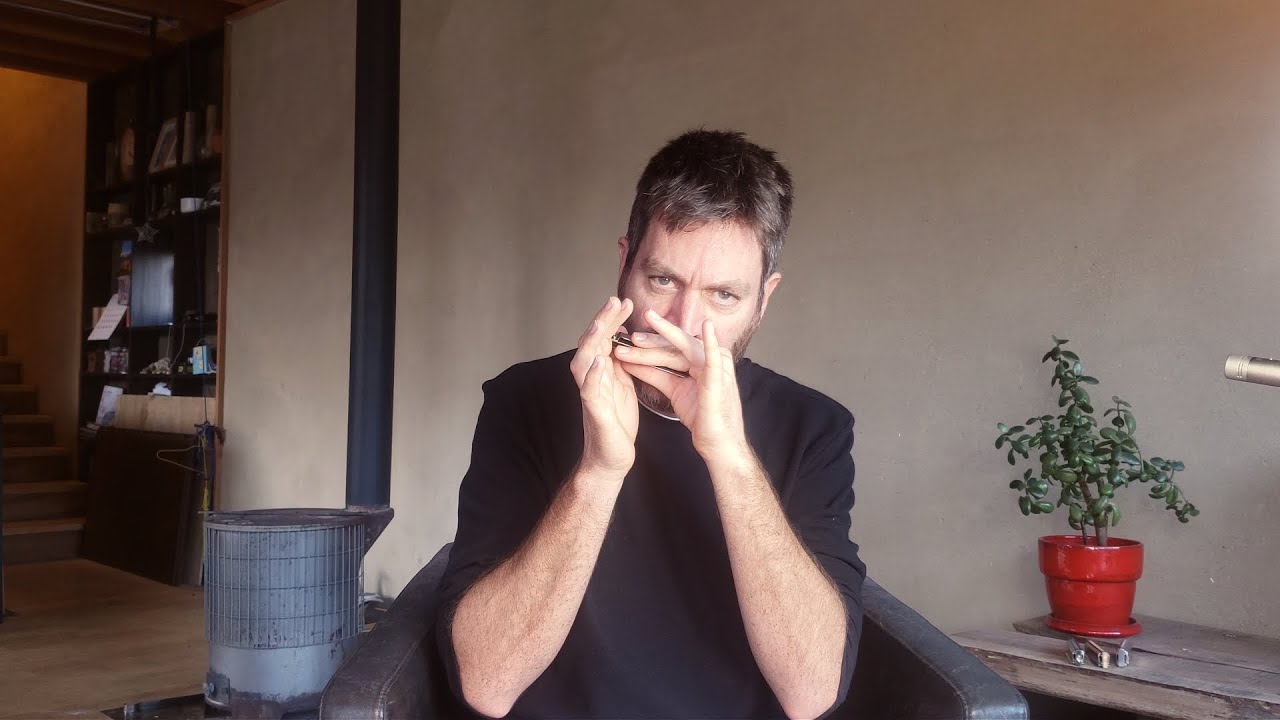 The Lark on the Strand – Irish jig on diatonic harmonica (Paddy Richter)