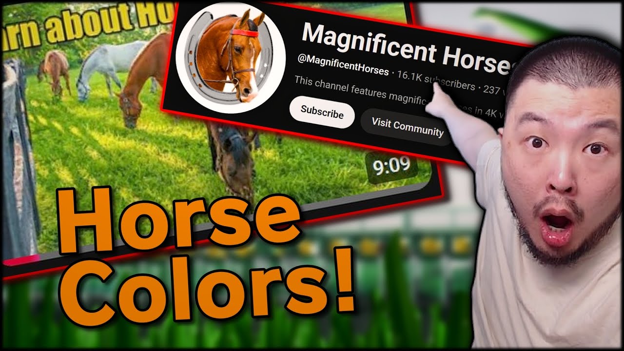 Learning Horse Colors With Chat