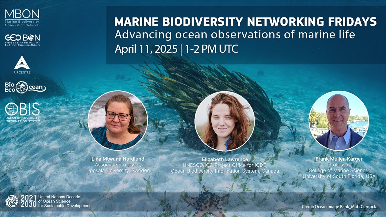 Marine Biodiversity Networking Friday on Advancing ocean observations of marine Life