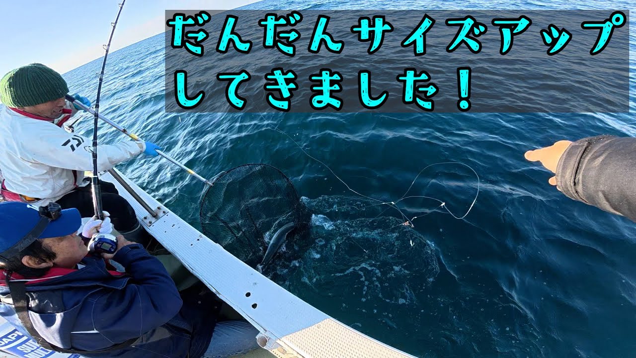 【落とし込み釣り】ブリと呼べるサイズが入ってきた！