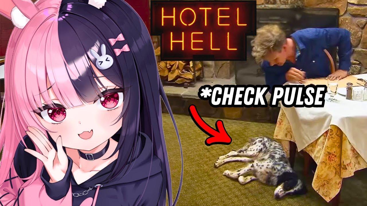 This Dog-Friendly Hotel Was a NIGHTMARE!! | Hotel Hell Bingo Reaction