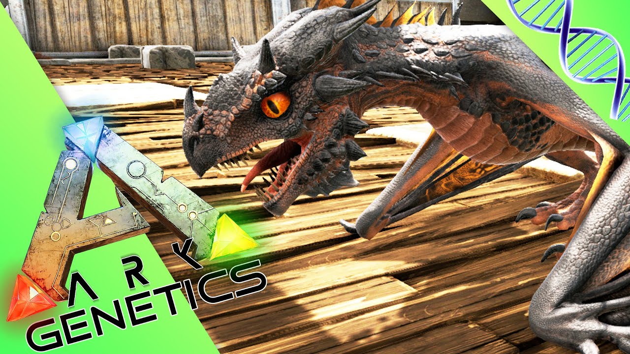 ARK GENETICS : NOUVEAUTÉ ! Les WYVERNES et les insectes pondent des œufs ! /60