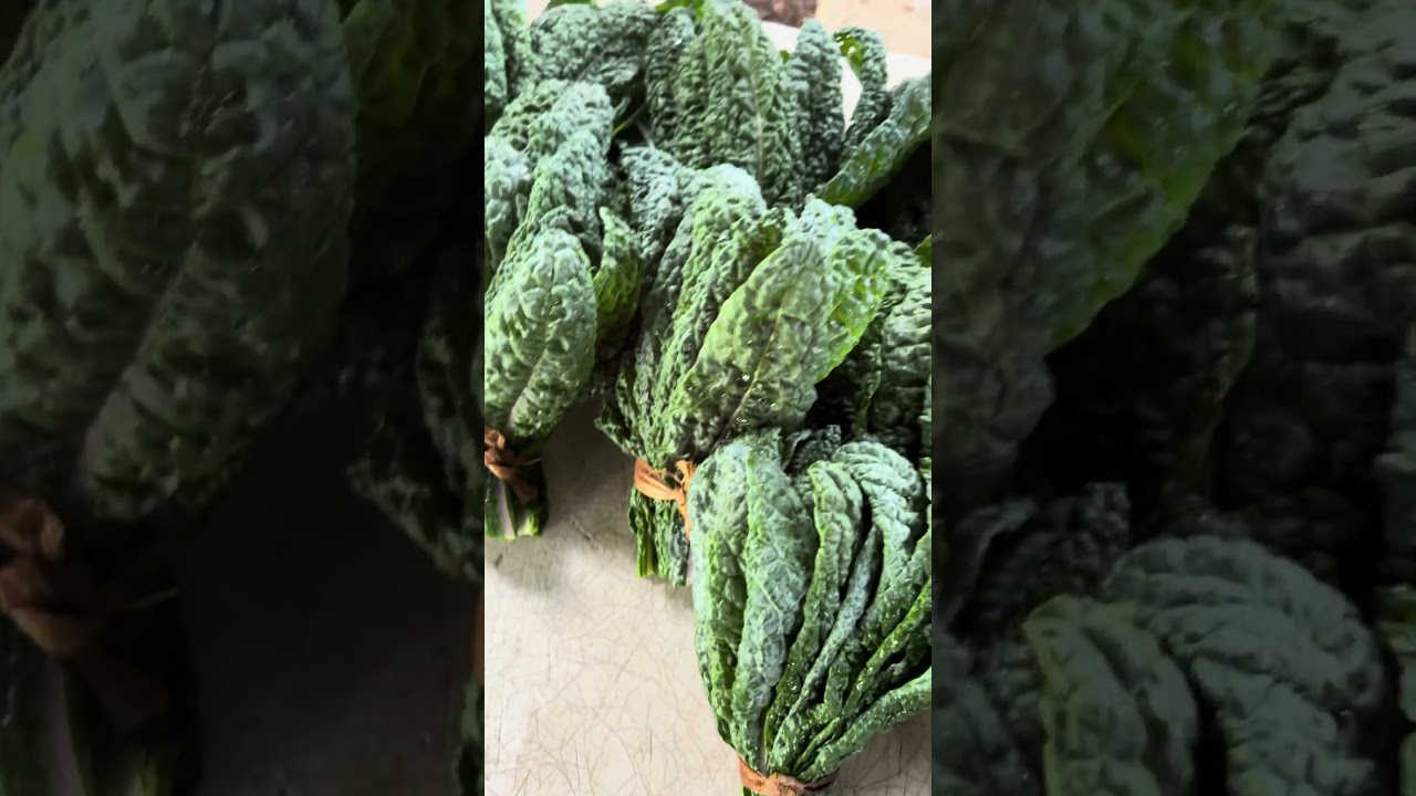 day in the life on an organic farm in hawaii #travel #hawaii #farming