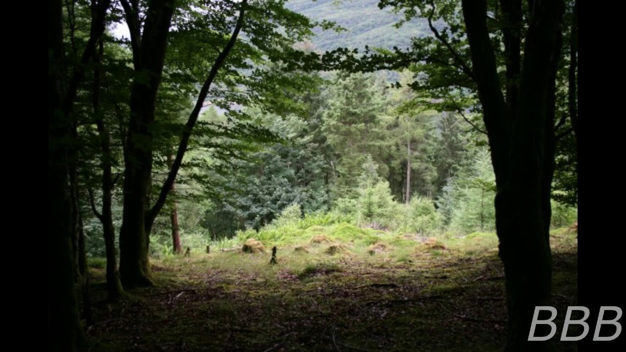 SCP 4310   The Hero's Journey
