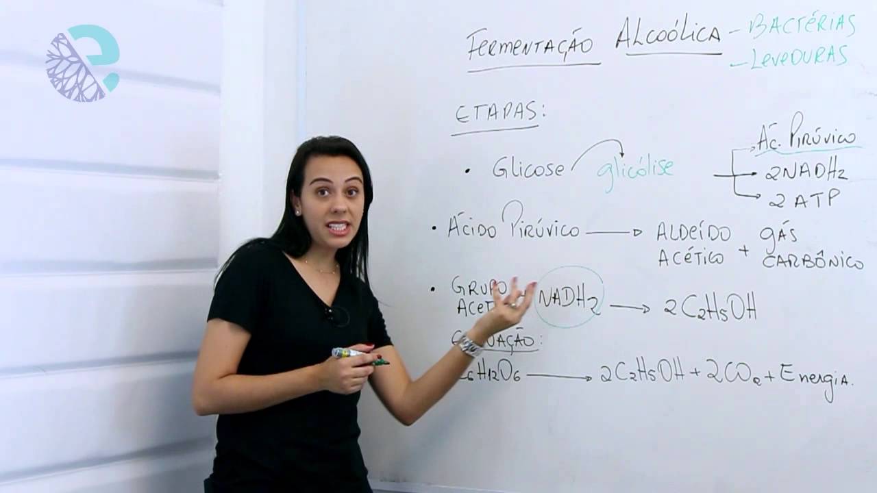 Fermentação alcoólica