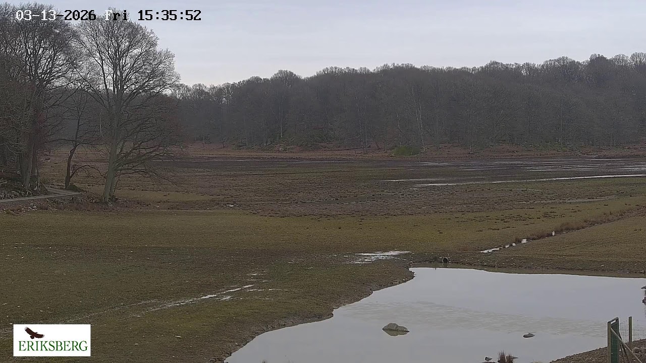 Livestream från Eriksberg Vilt & Natur