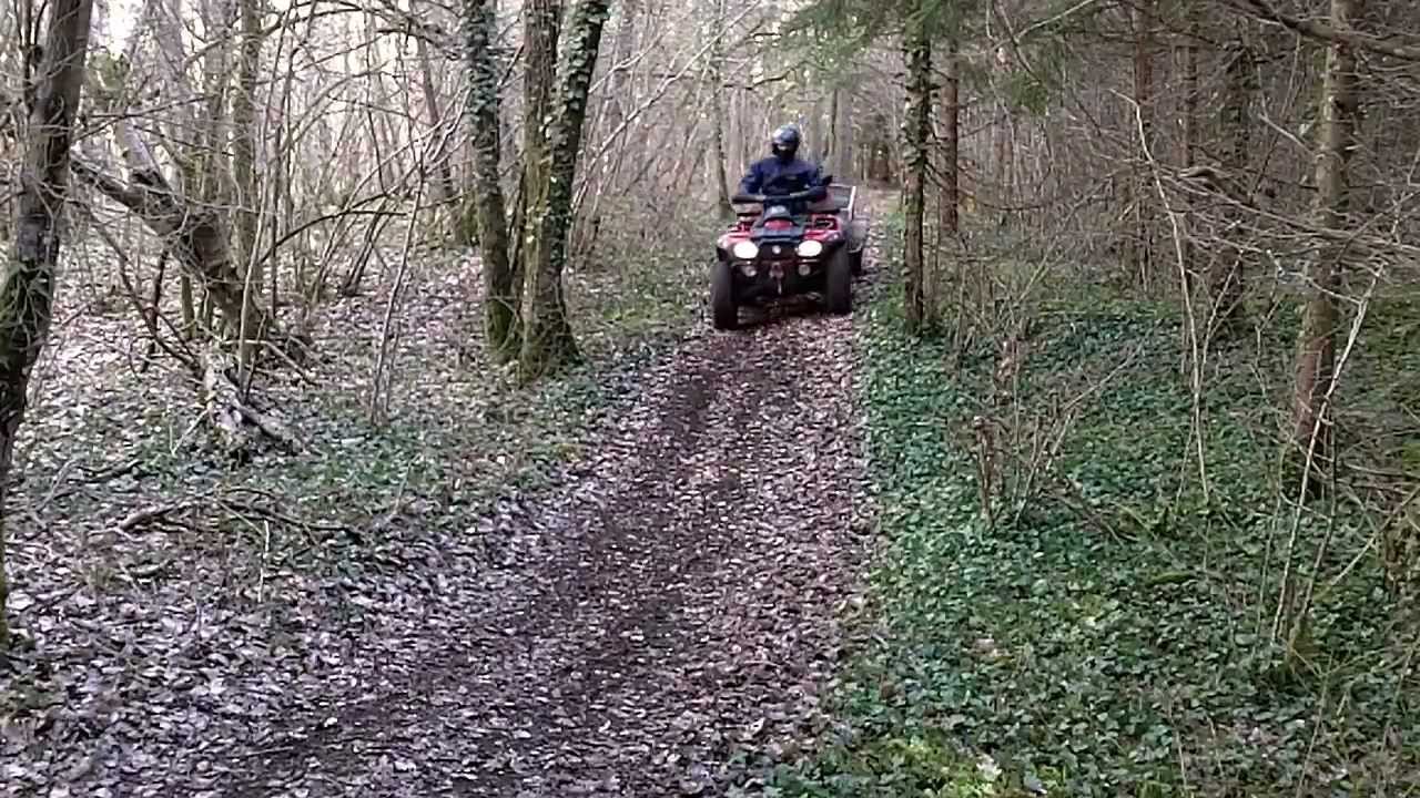 Brennholz machen, mit Quad, Holzspalter und Kippsäge in Frankreich