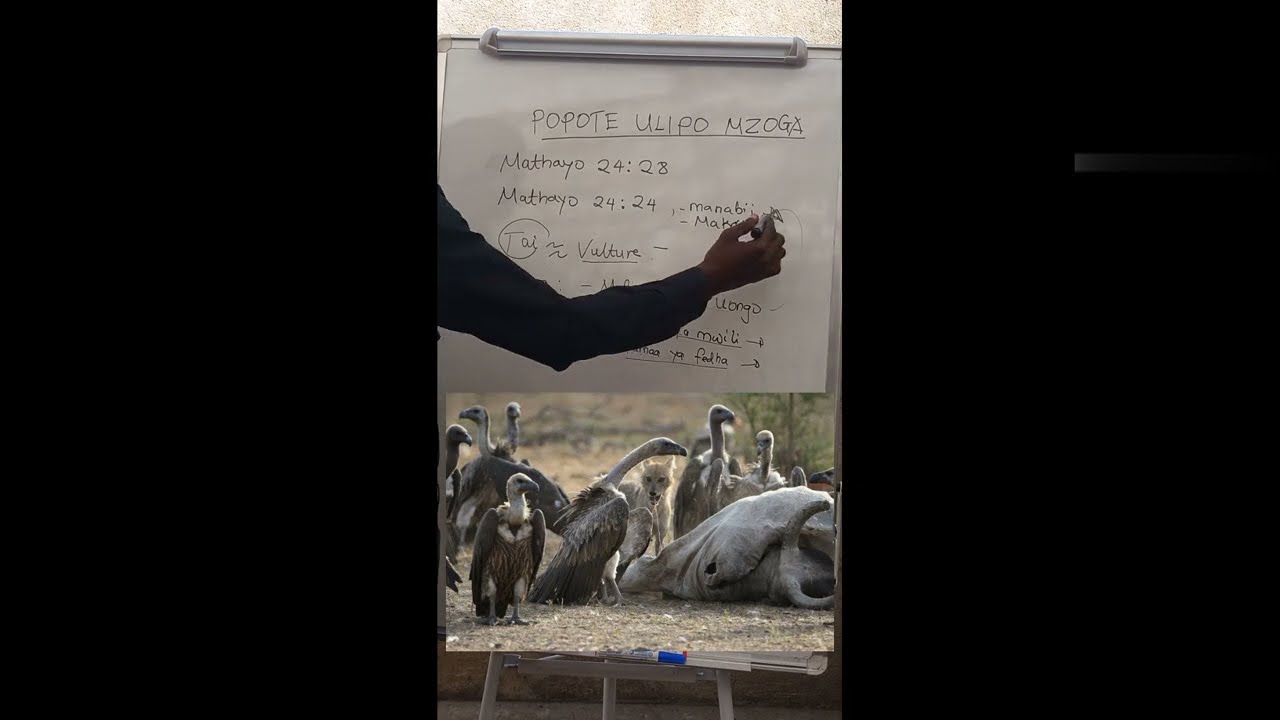 POPOTE ULIPO MZOGA