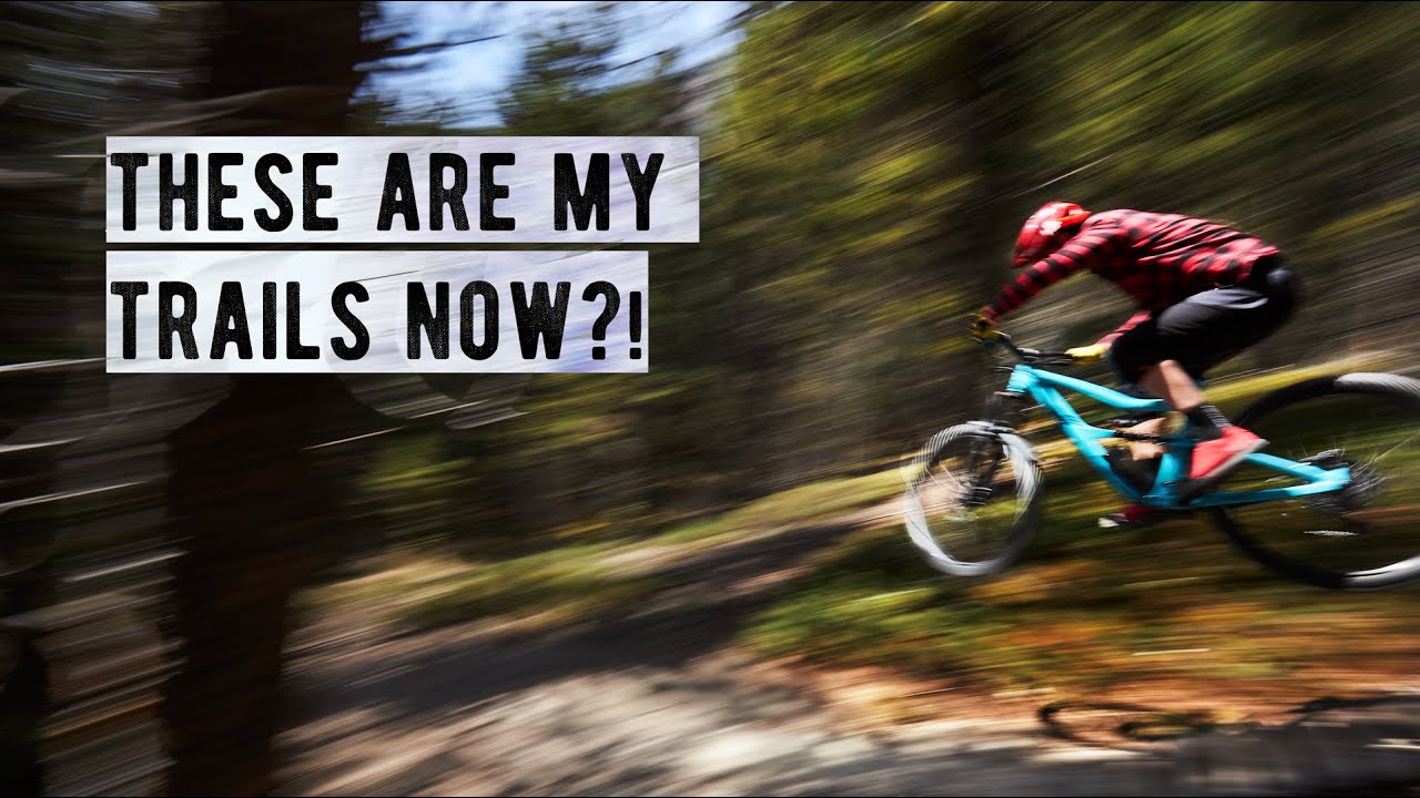 Our new BACKYARD TRAILS are INSANE.