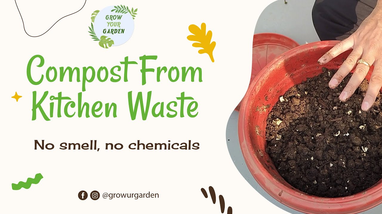 Easy Compost at Home from Kitchen Waste | English Subtitle #Gardening #composting