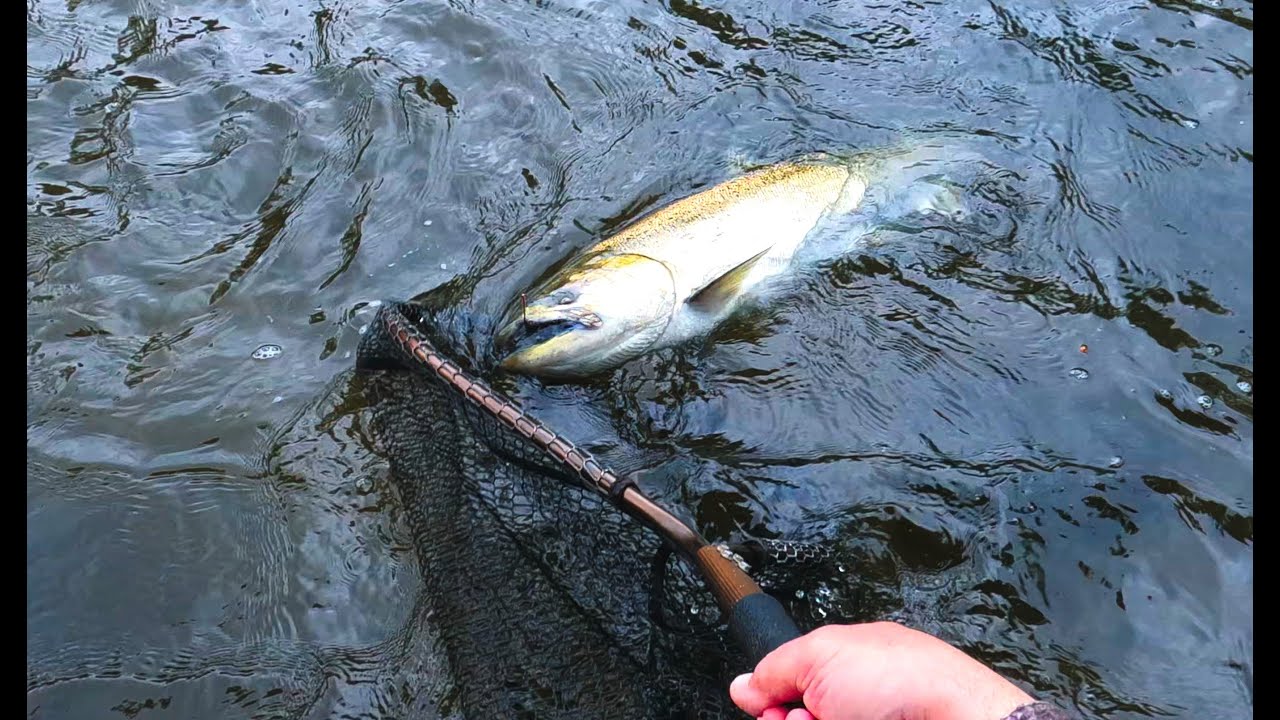 Spring Chinook Bobber Downs Episode 1,Oregon Coast