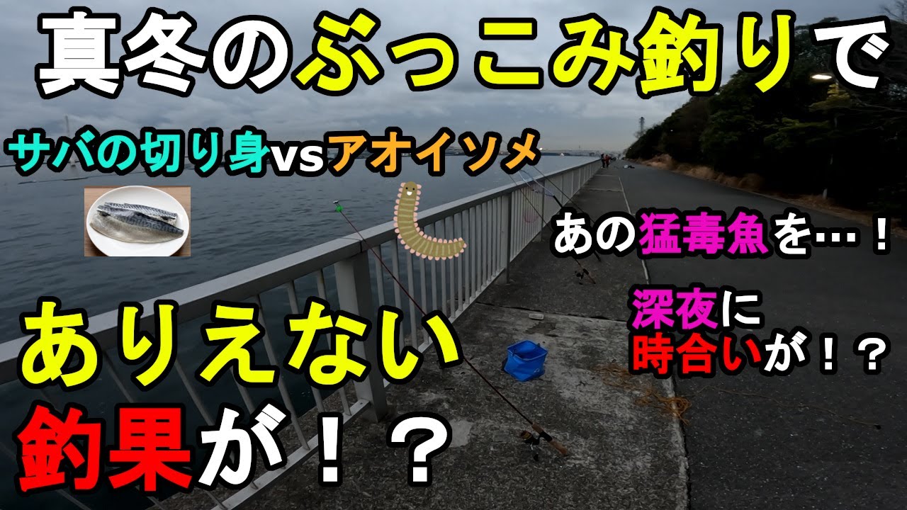 【神奈川県某所】真冬のぶっこみ釣りでありえない魚が！？年明けの年始の時期に、関東地方の東京湾側に面している釣り場で、アオイソメとサバの切り身を釣り餌にして数日間釣りしてみたら…！【2024年1月上旬】