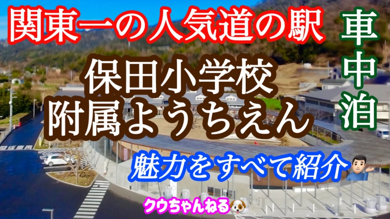 【関東一の人気道の駅】保田小附属ようちえんで車中泊🏫