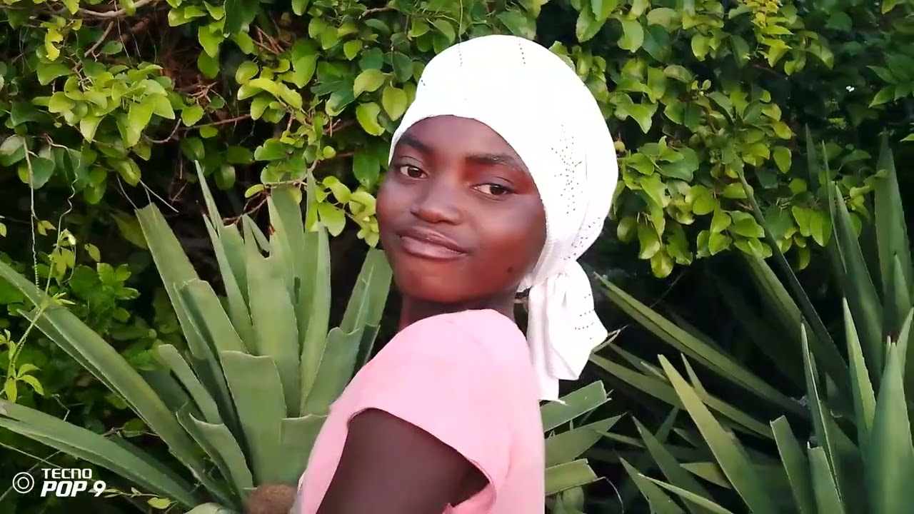 Wawara video oficial courya 