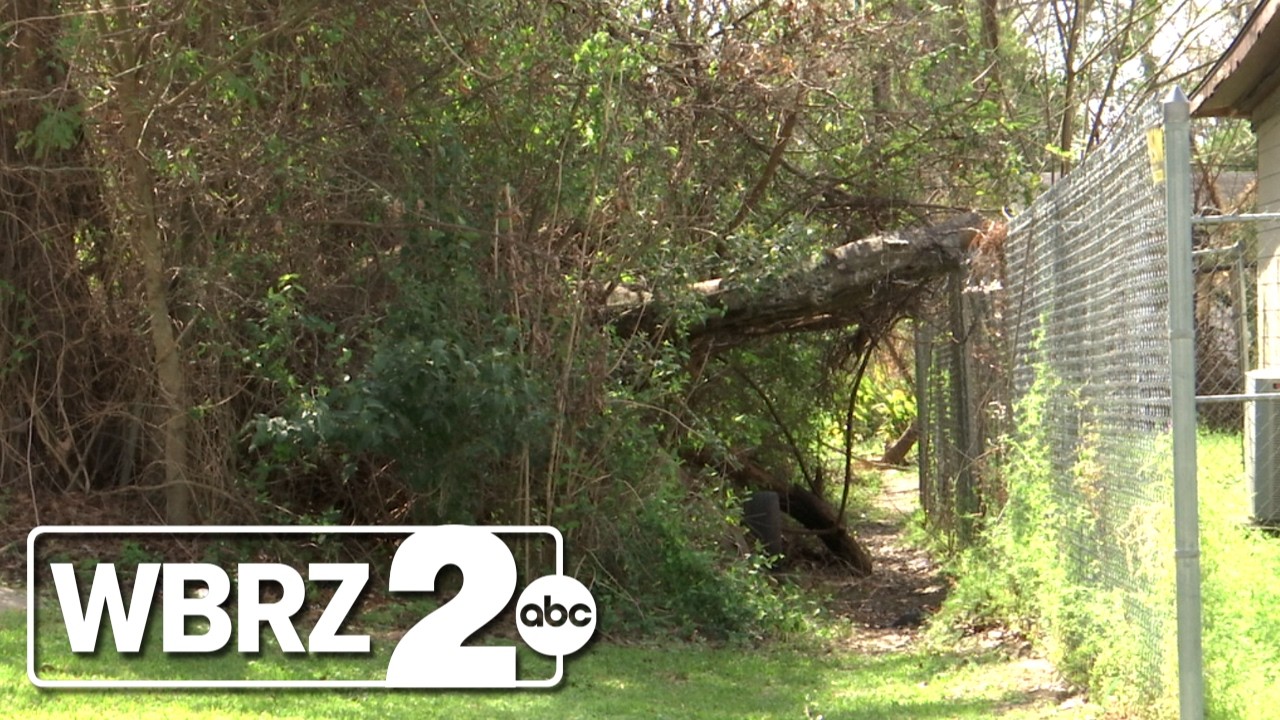 Baton Rouge Fire Department investigating three grass fires in the same neighborhood