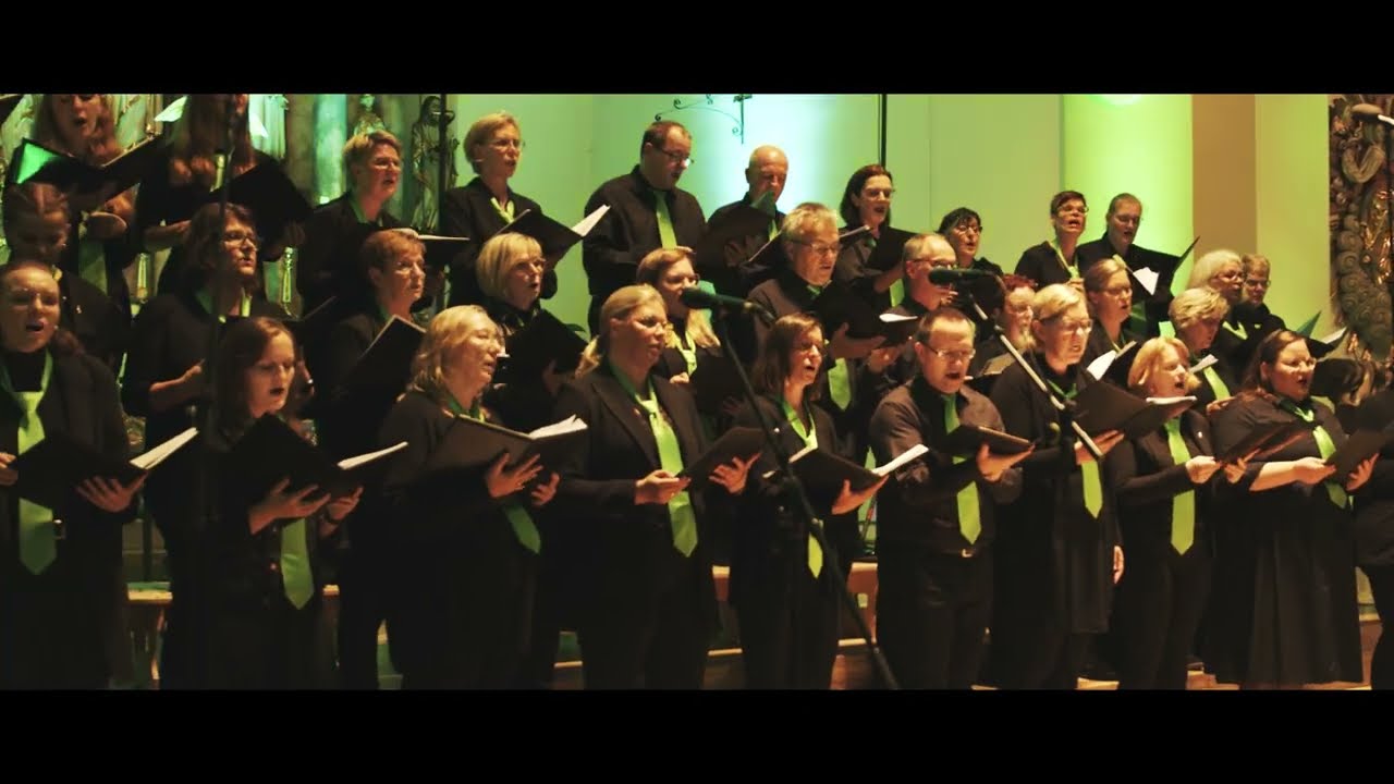 Beestener Schola - Hunderttausend Farben (Cover)