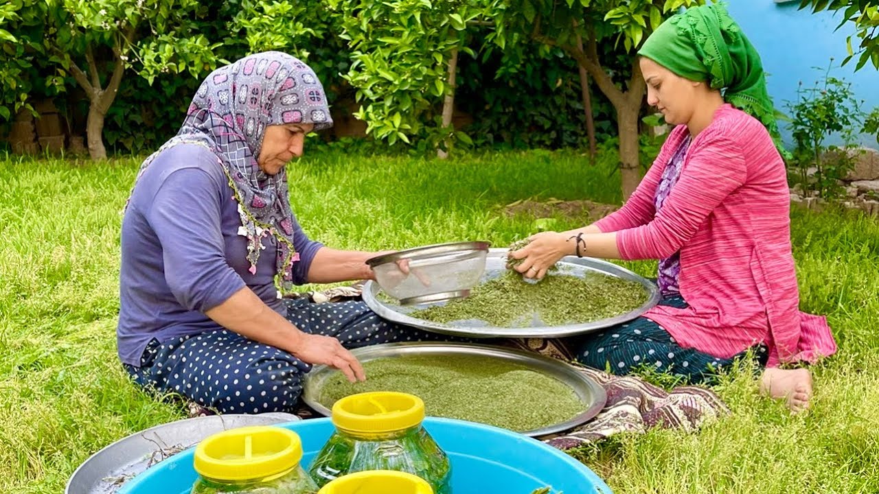 K&ouml;y Ekmek Yapımı Odun Ateşi Yemek | Kabak Hasadı Doğal Yaşam