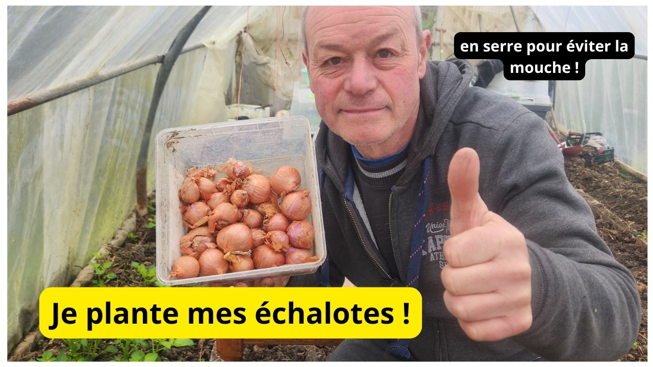 Aujourd'hui  je  plante  mes premières  échalotes  avec  vous !