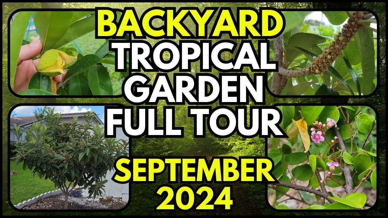 Florida Backyard Garden - Full Tour - September 2024
