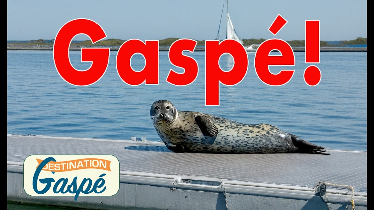 Les p'tits gars de Gaspé (S05E10)