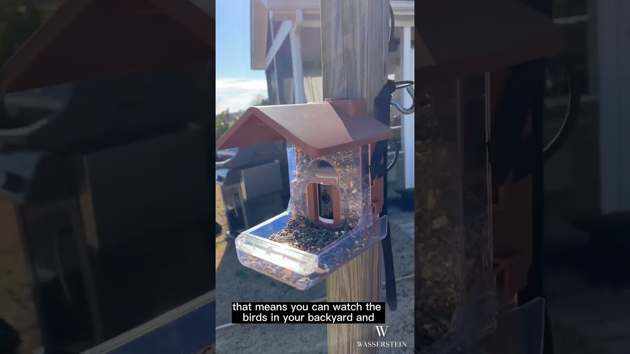 A MUST-HAVE! Not only attracts various birds but is also compatible with popular home security cams!