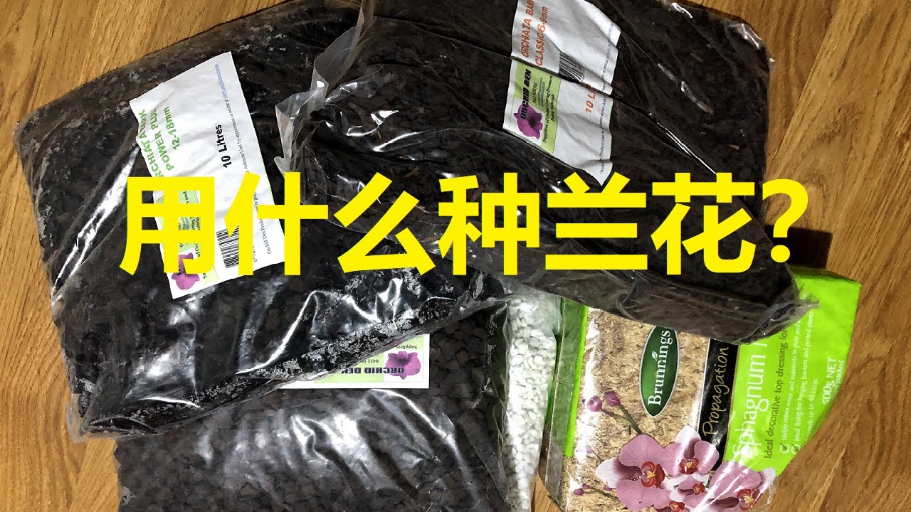 新买的兰花植料；用什么种兰花？