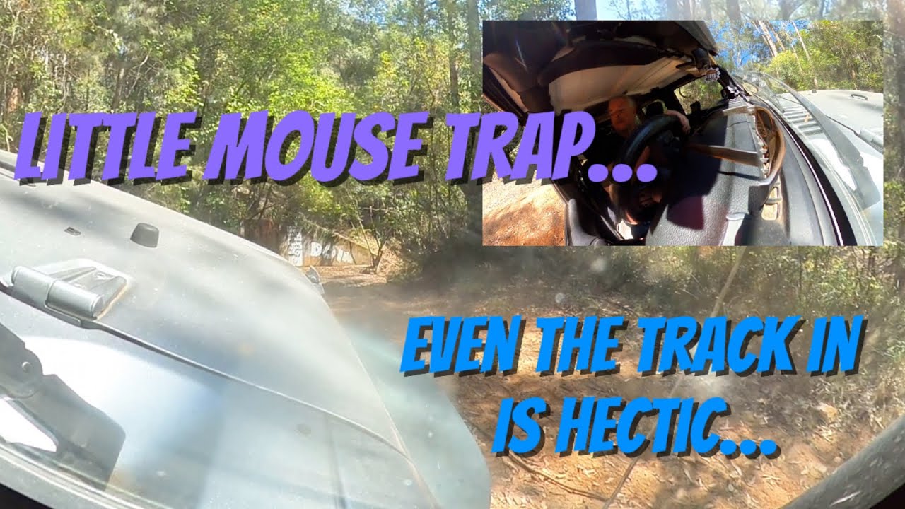 Little Mouse Trap