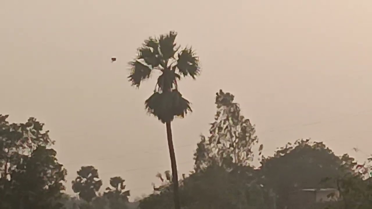 Hamare camera ka quality 😆😆😆😆😆😆🥰👑👑👑👑🥳
