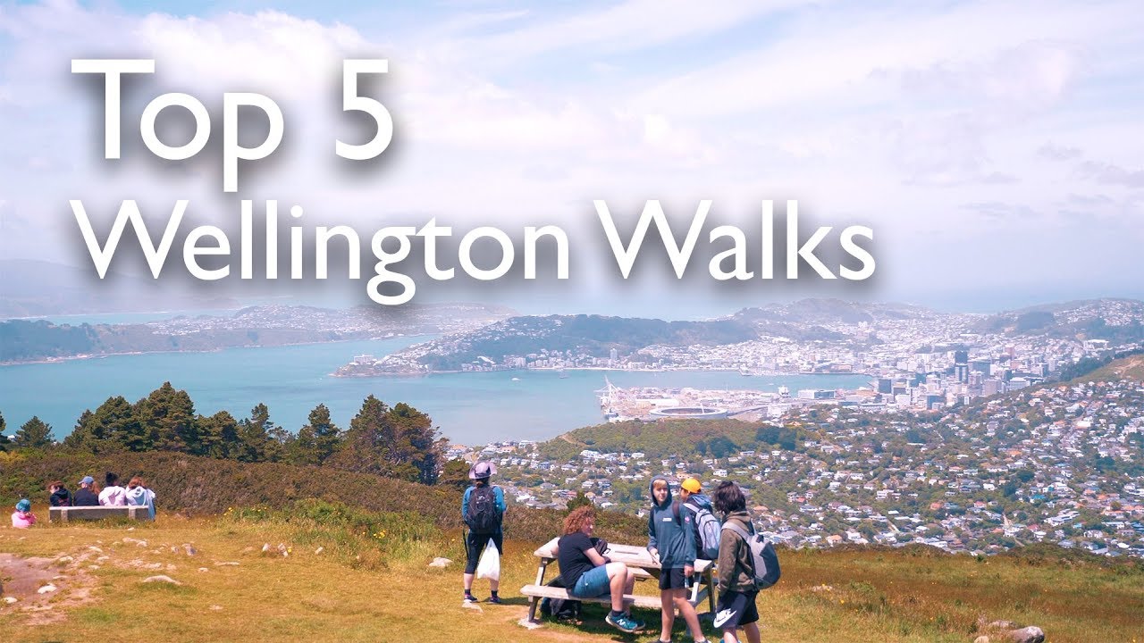 top 5 wellington walks to do this summer