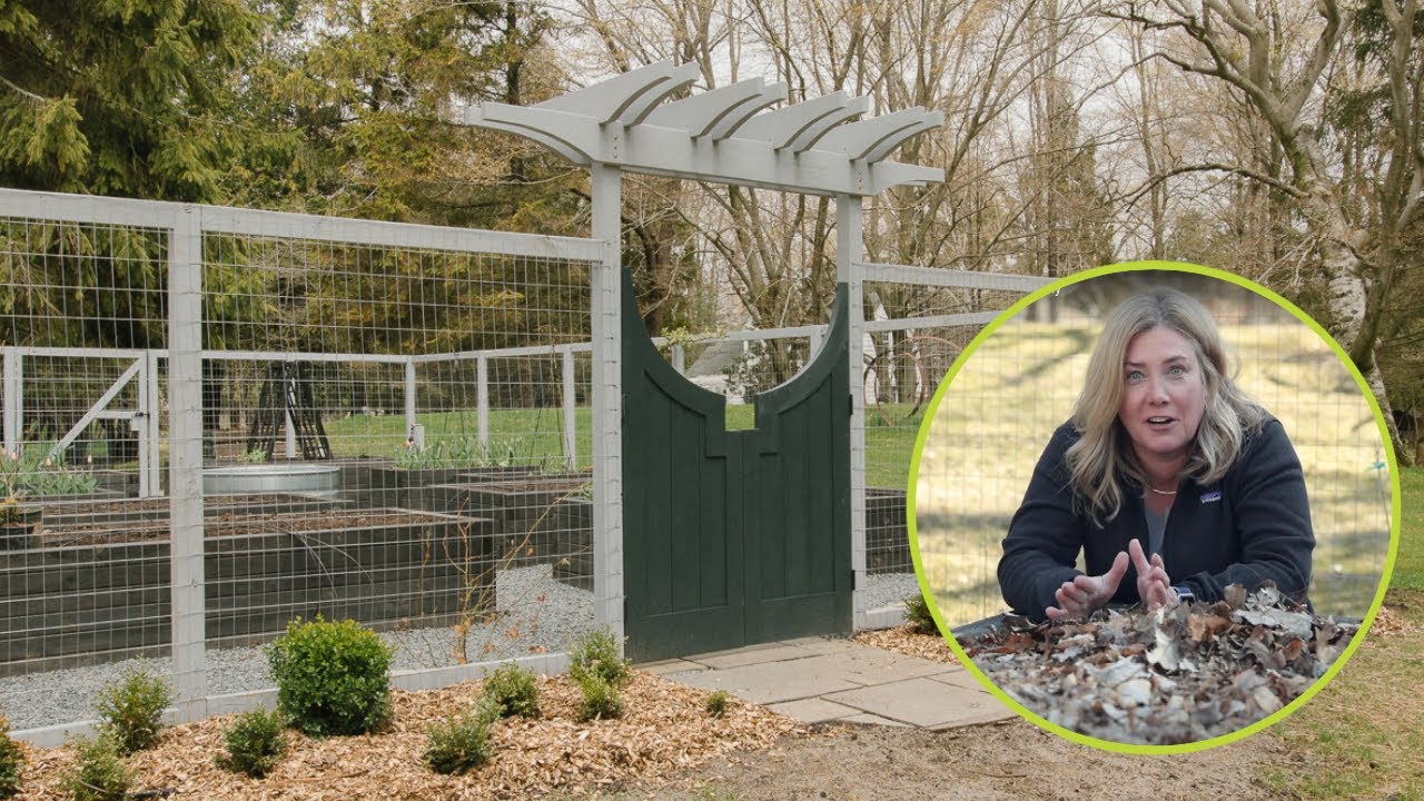 How I made my raised bed garden 🌿 What I love 🌿 What I screwed up