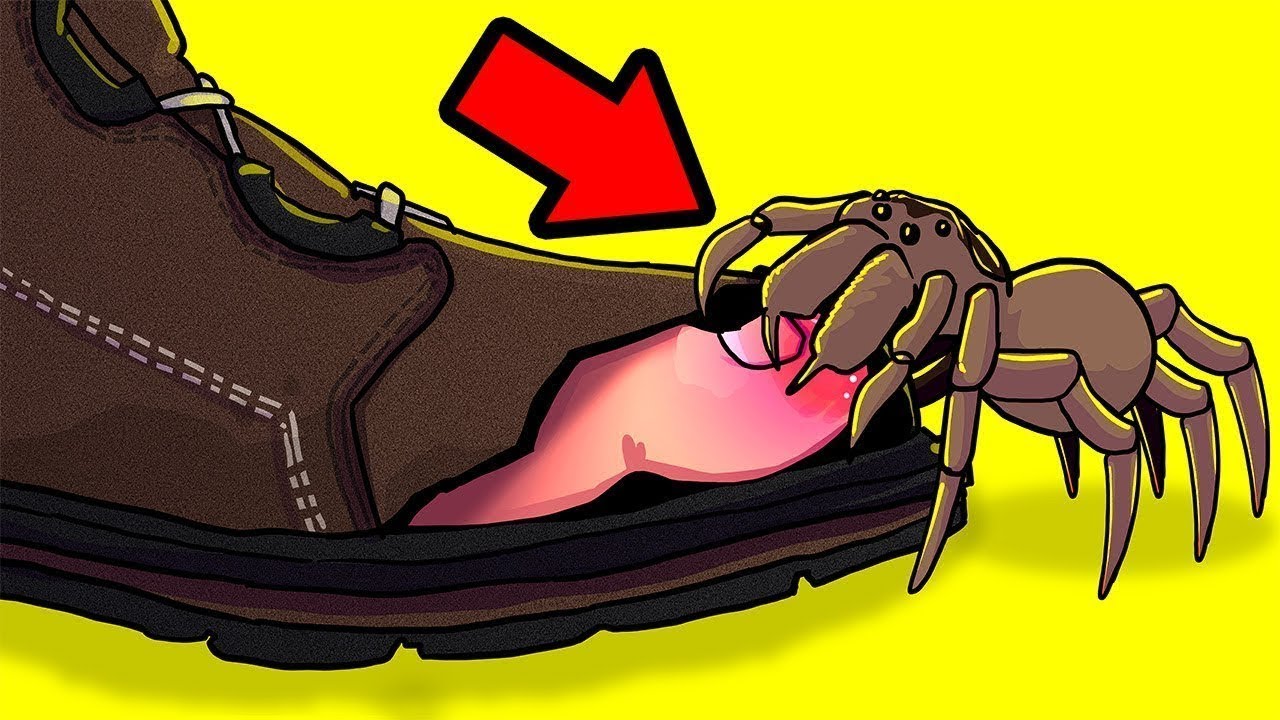 Horrifying Animals You Should Avoid At All Costs