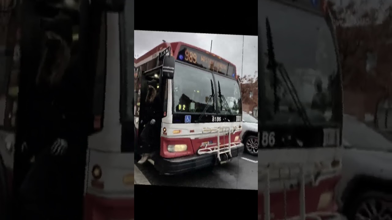 Bus edit 
