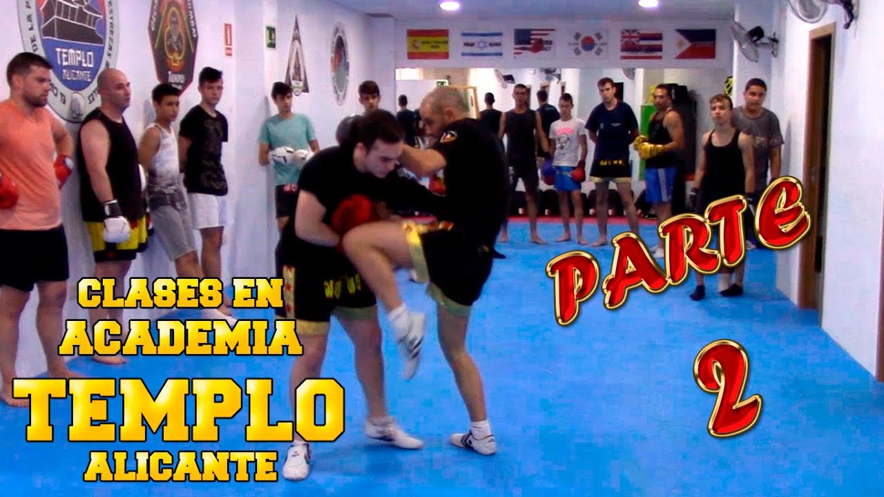 ACADEMIA TEMPLO ALICANTE | CLASES EN TEMPLO ALICANTE 