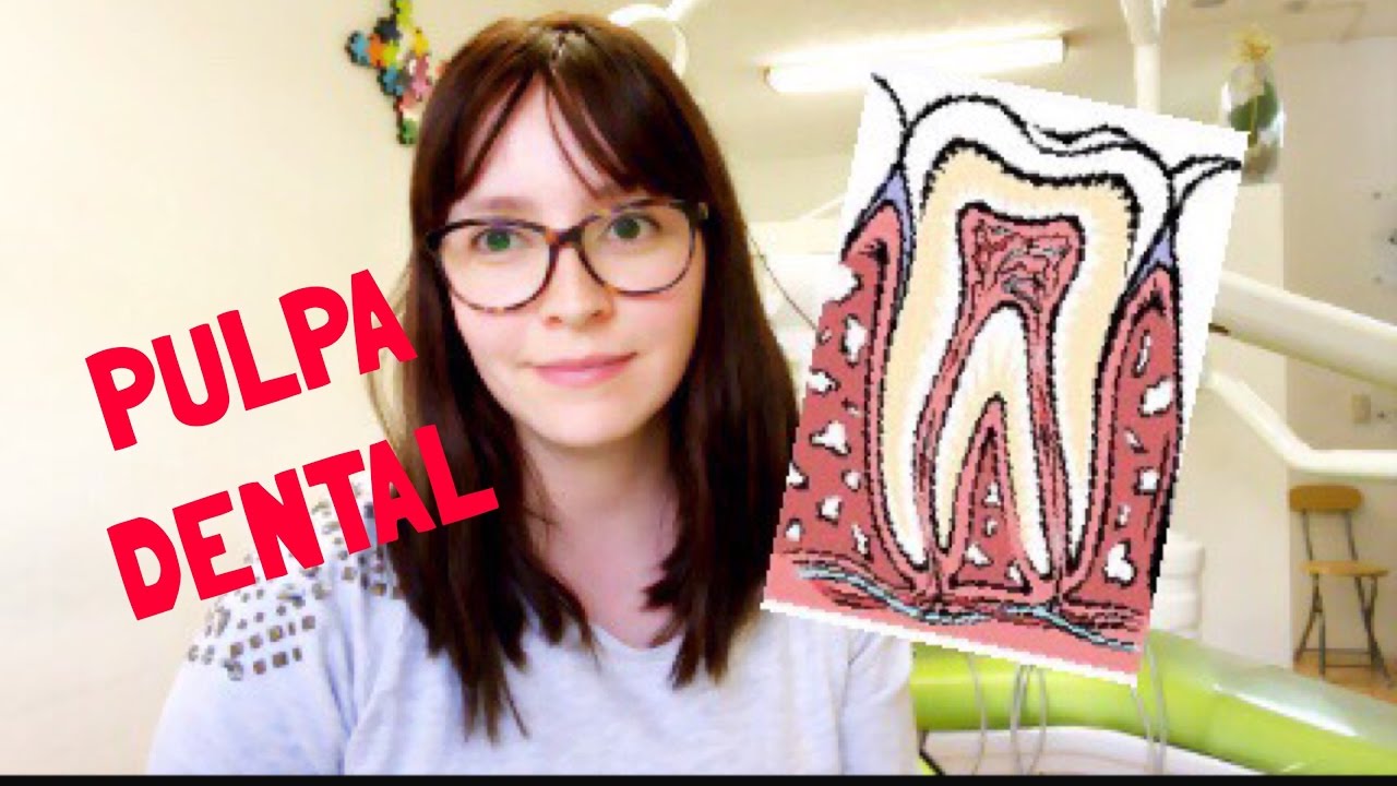 Pulpa Dental