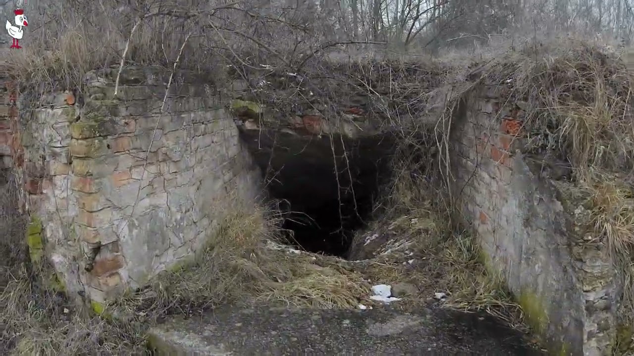 Urlaub Mi Küstrin (PL)-Bastion-Ruinen  (2-2026)