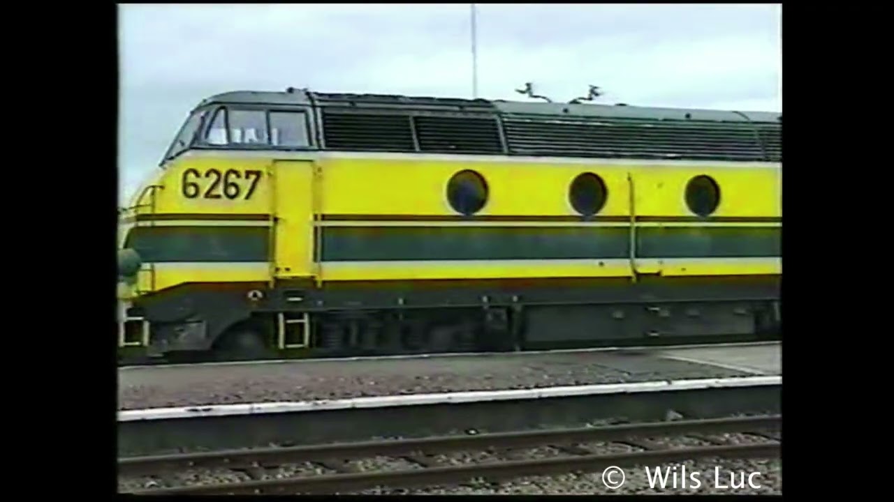 Mol Jaren 90 #15