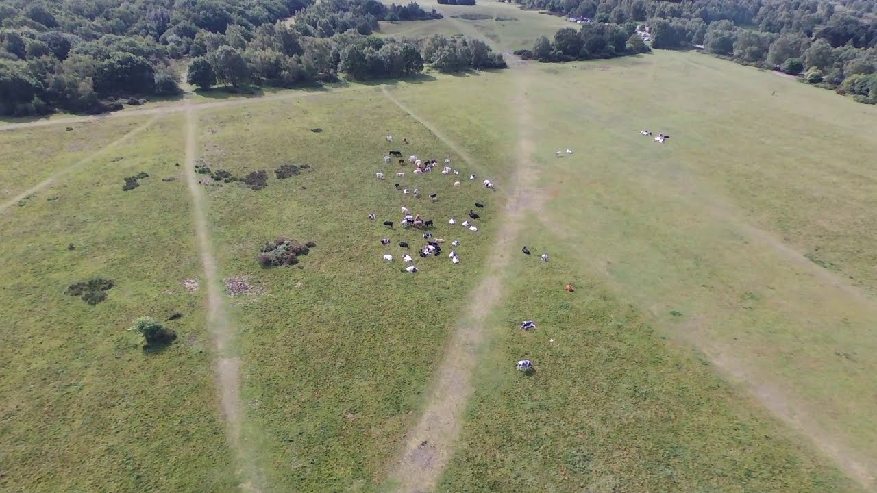 Sutton park, West Midlands Drone Club