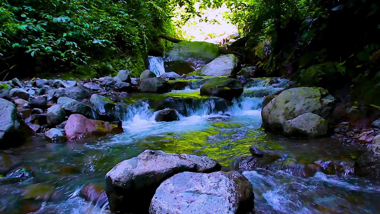 Flowing River for Panic Relief | Deep Sleep Soothing Water Ambience