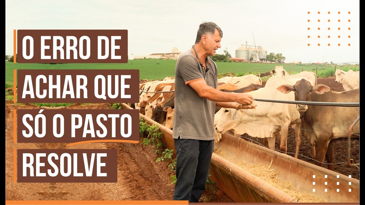 Pouca gente mostra isso: 65 fêmeas em pasto rotacionado