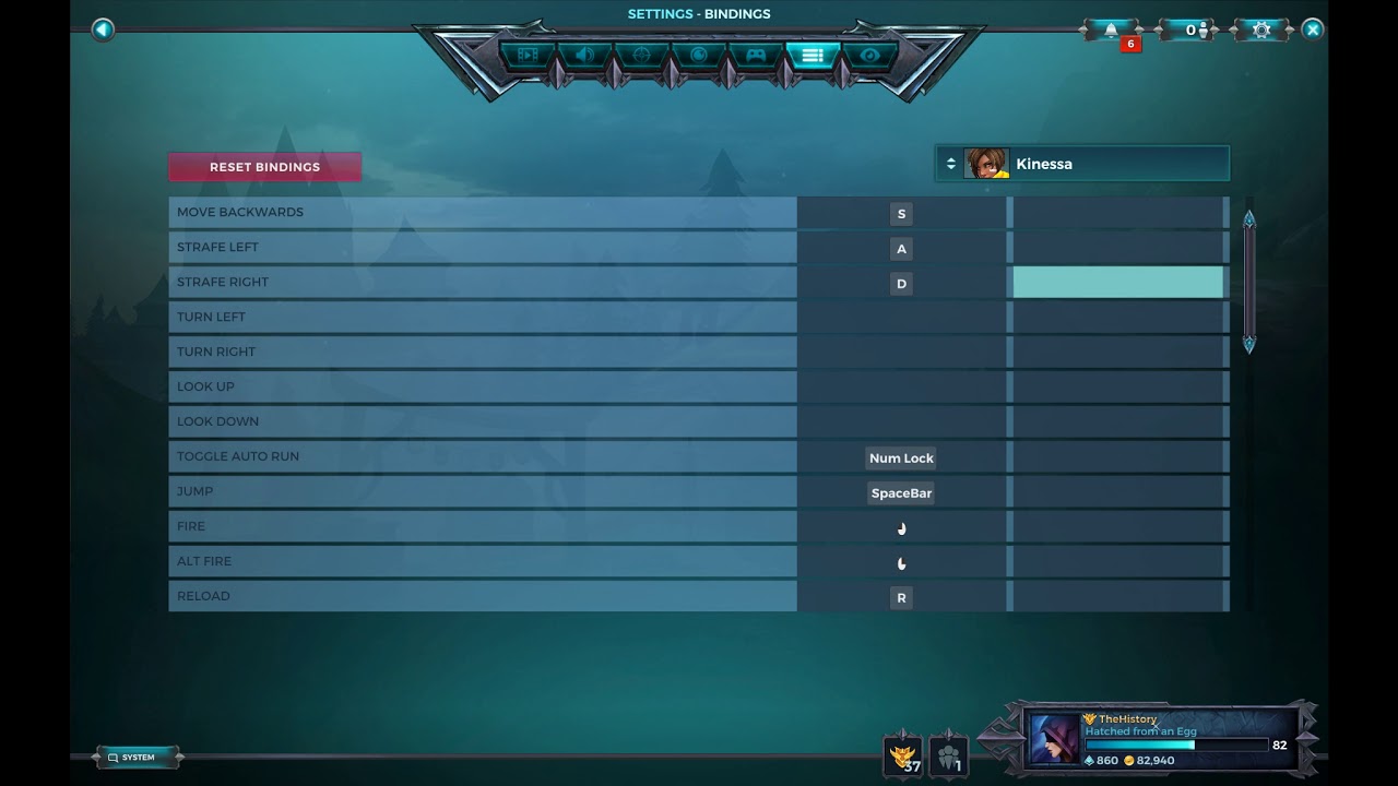 Paladins how to fix the bug on Strix