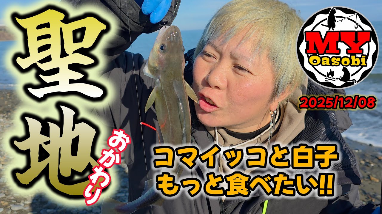 【釣り】2025年  聖地遠征2回目  コマイの卵と白子が食べたい　#北海道釣り #コマイ #聖地釣り   #カジカ  #投げ釣り  #ギンポ