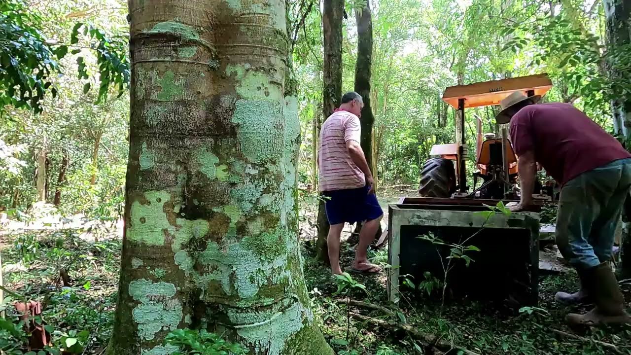 Compramos uma churrasqueira nova para o cantinho do Vovô Gaio